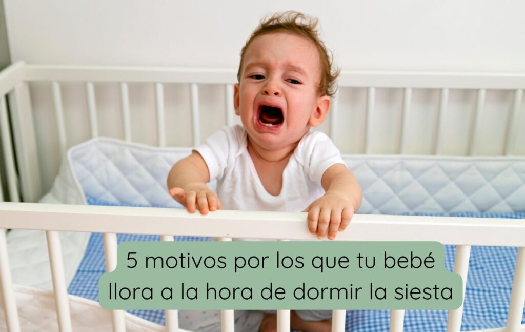 fotos bien dormidos (2)